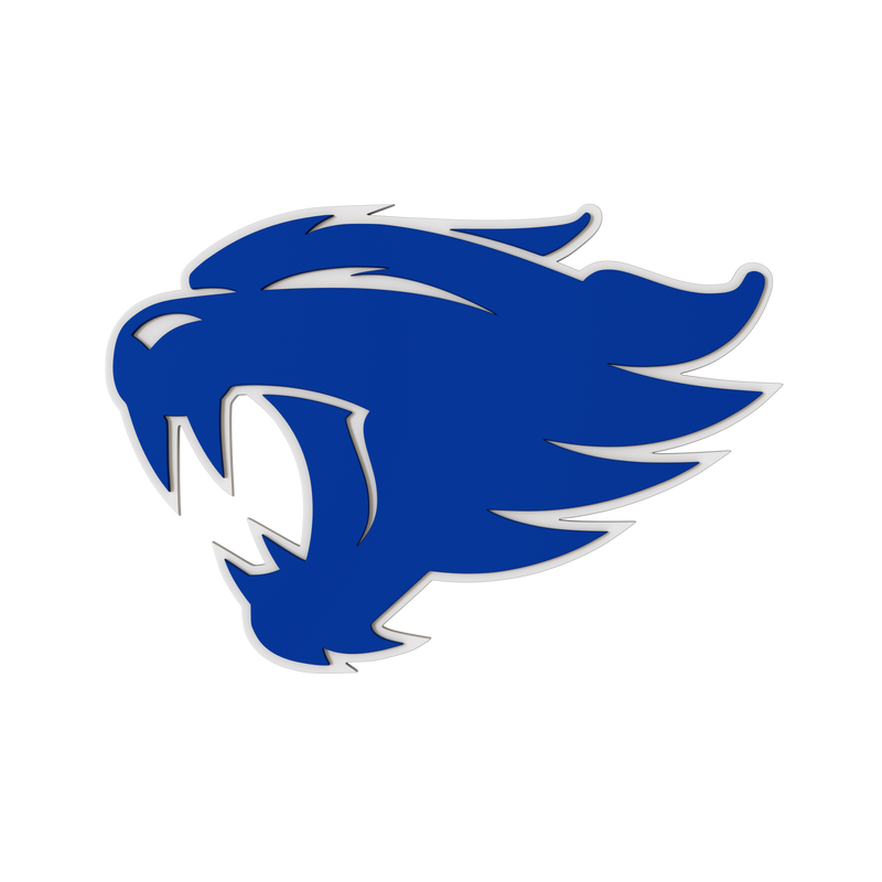 Budz | Kentucky Wildcats