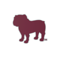 Budz | Mississippi State Bulldogs